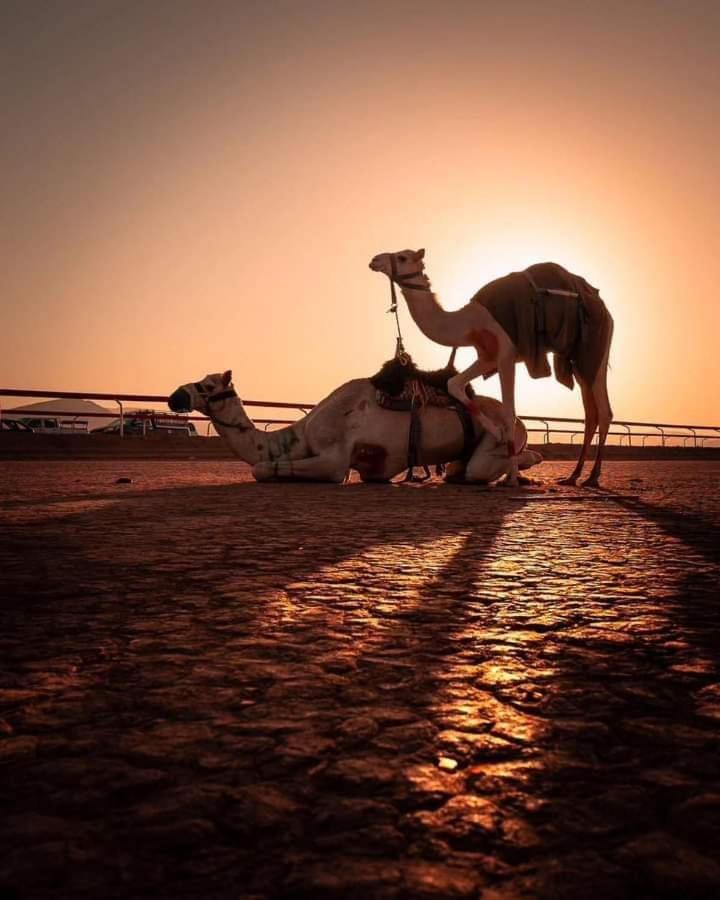 Rum Bedouin trips view 2