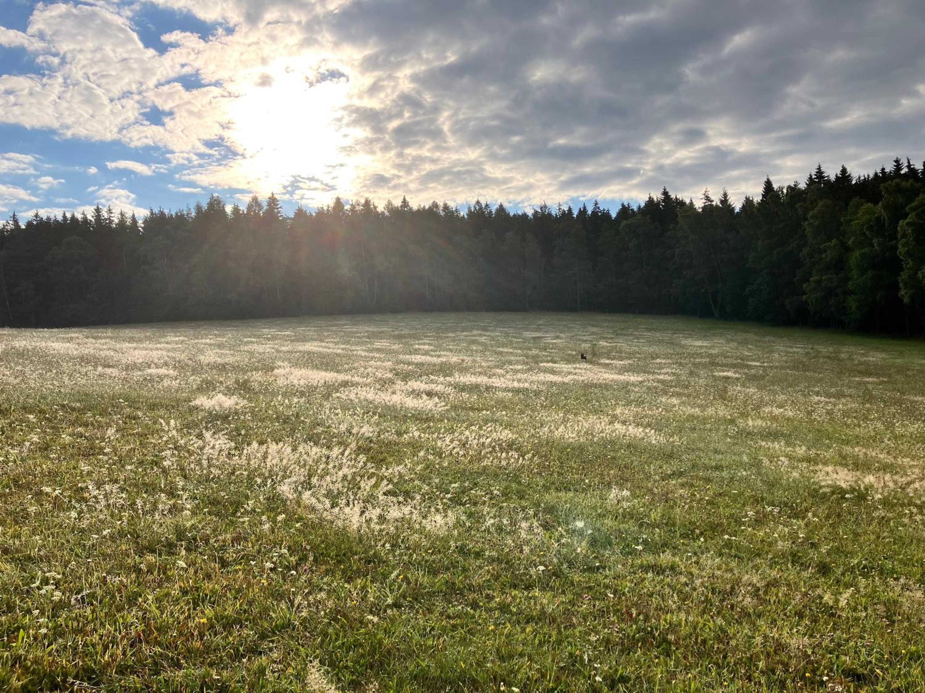 Roubenka U Andělů, Šumava