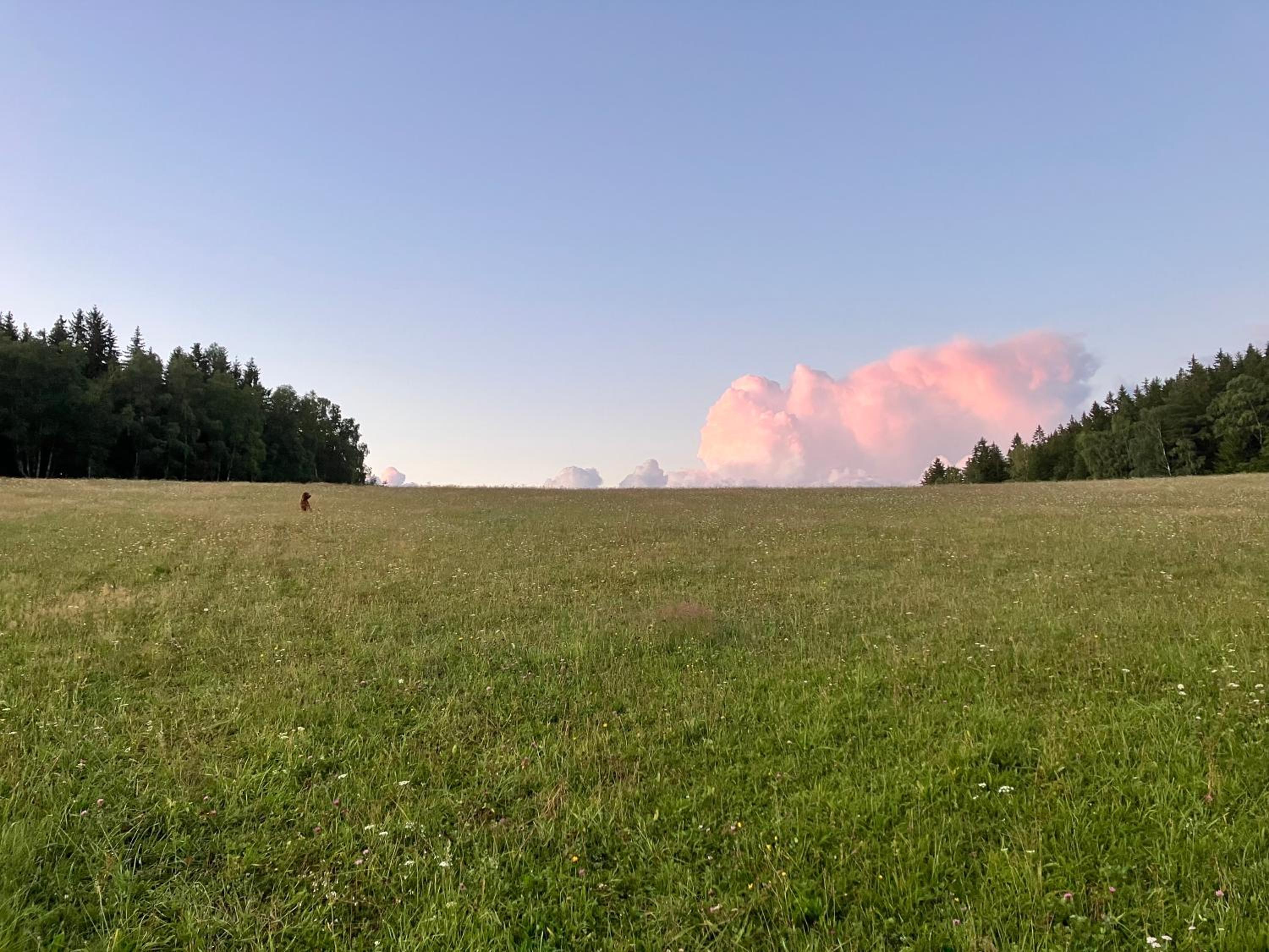 Roubenka U Andělů, Šumava