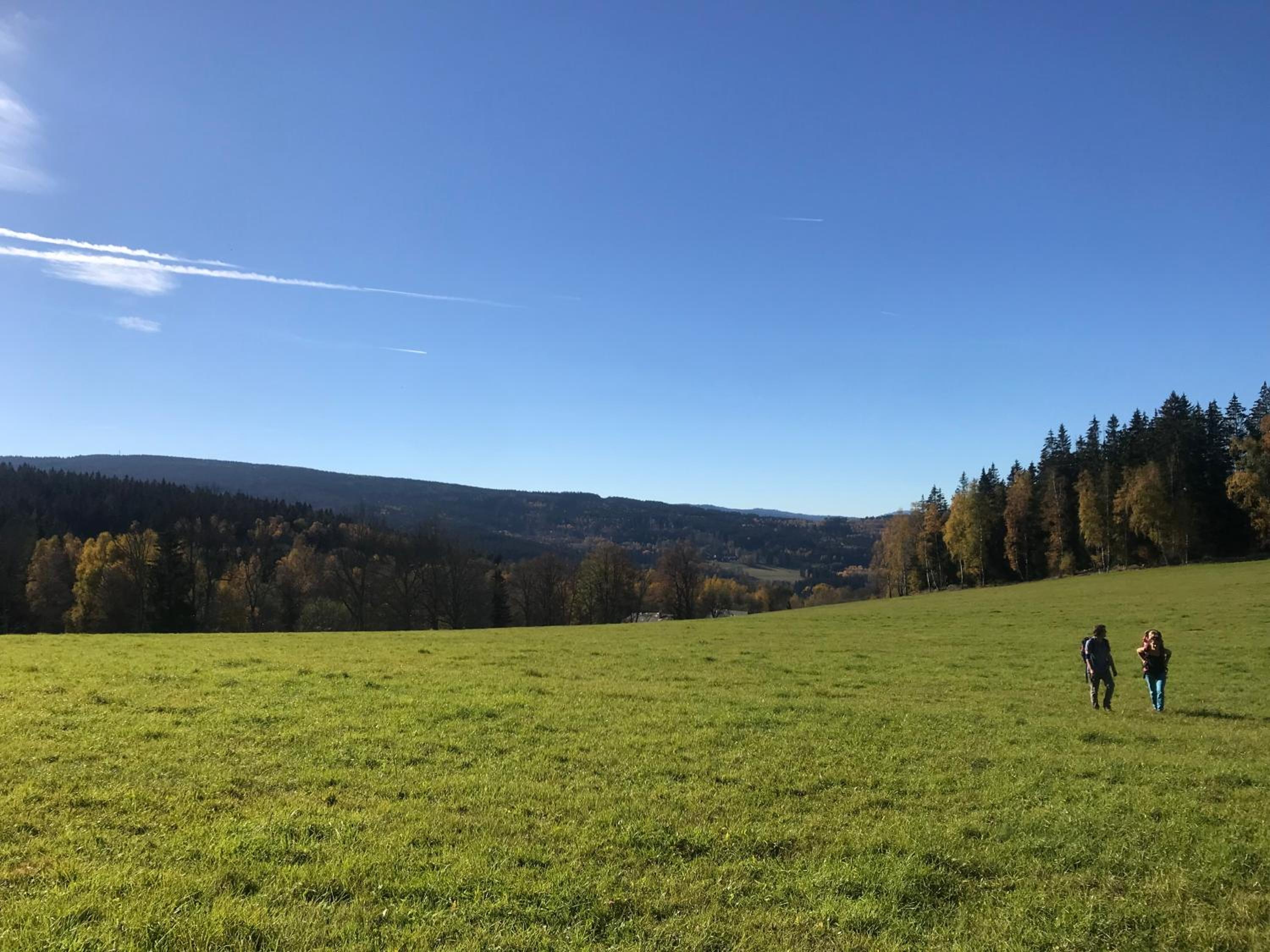 Roubenka U Andělů, Šumava