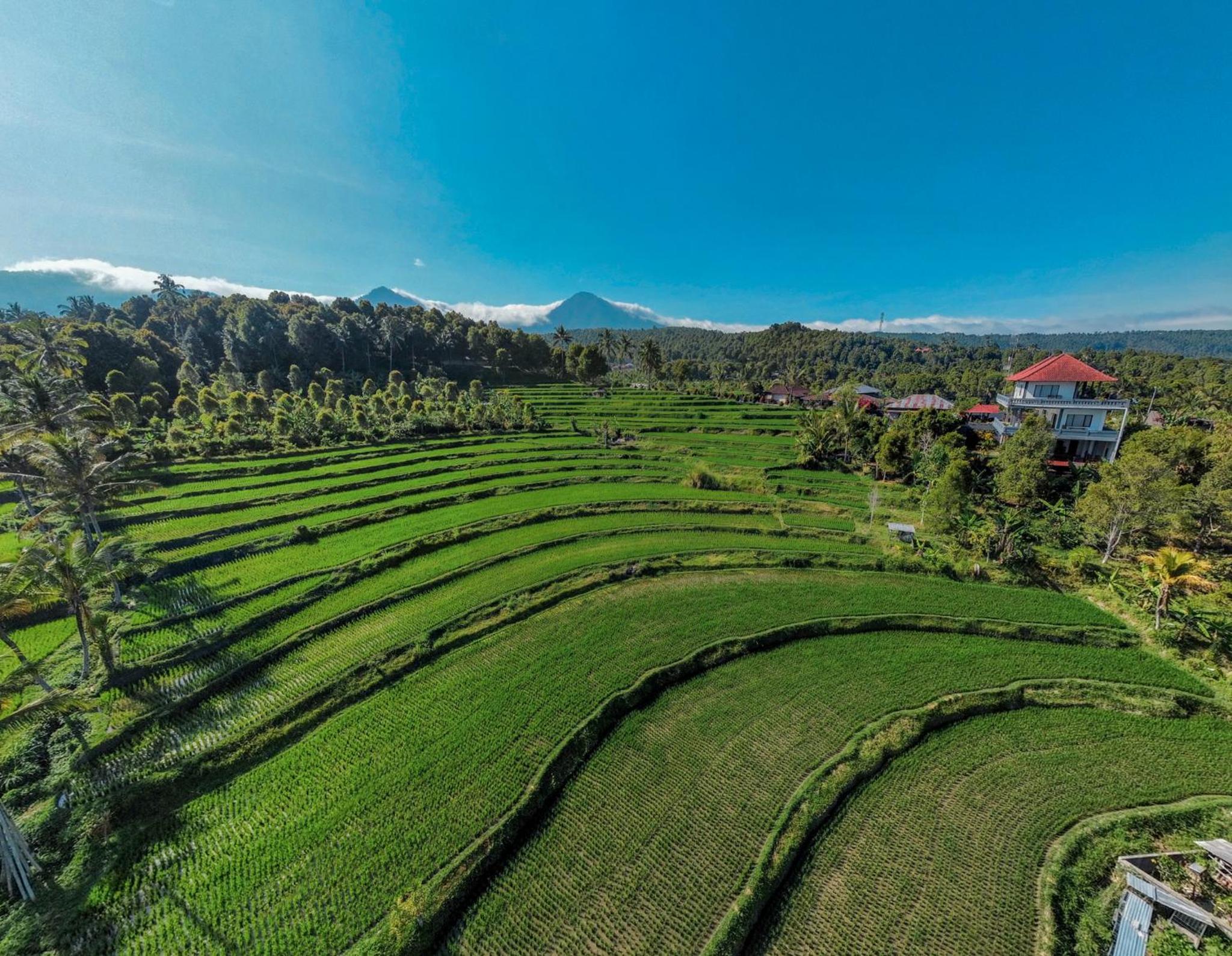 Candra Cottage