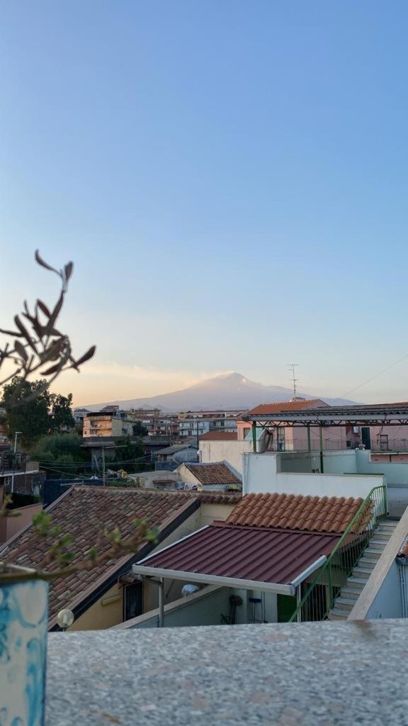 Curia Apartment