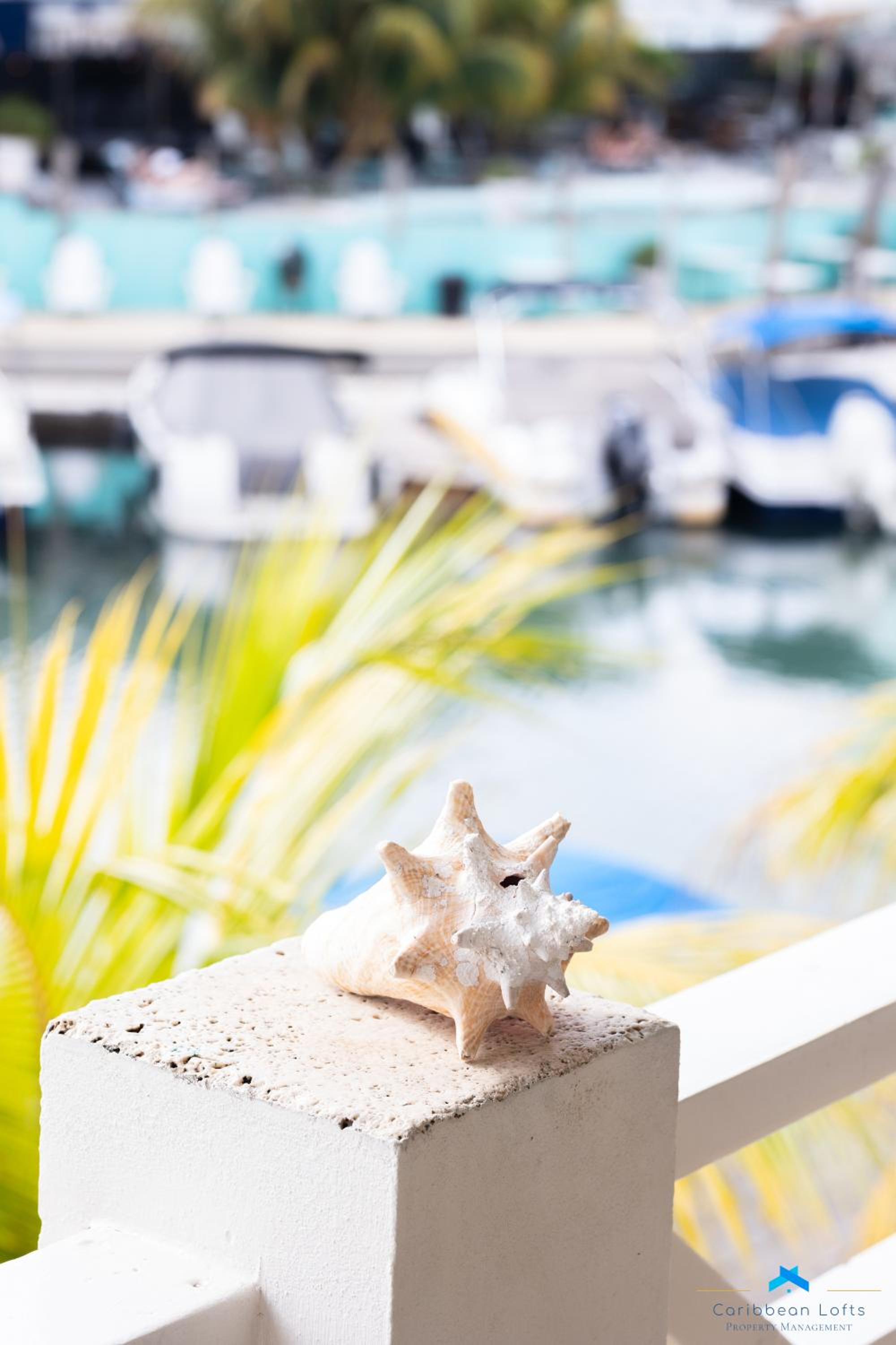 Caribbean Lofts Bonaire