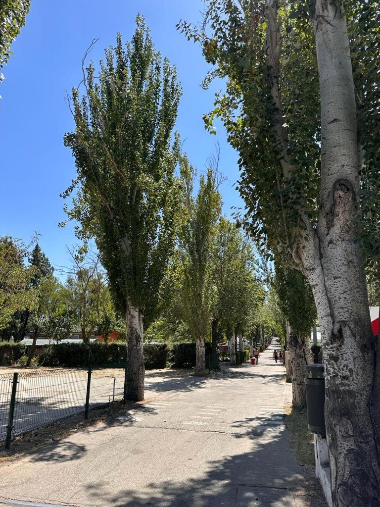 Getafe Vacations - Bungalows Alpha - Property Image 22