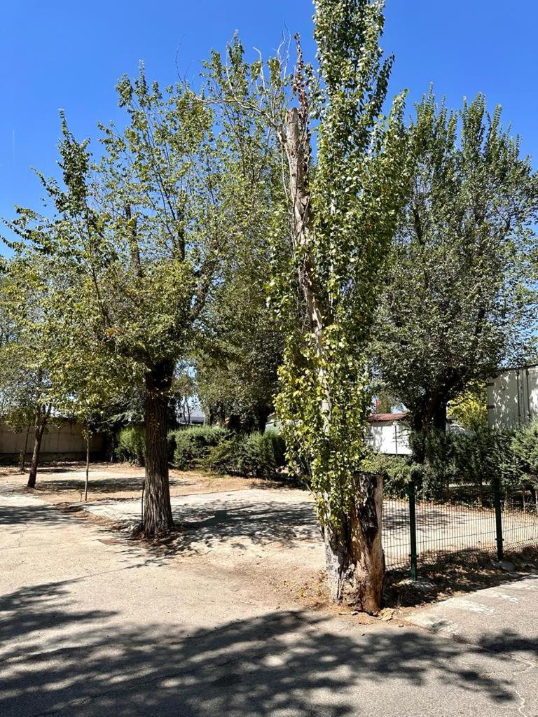 Getafe Vacations - Bungalows Alpha - Property Image 4