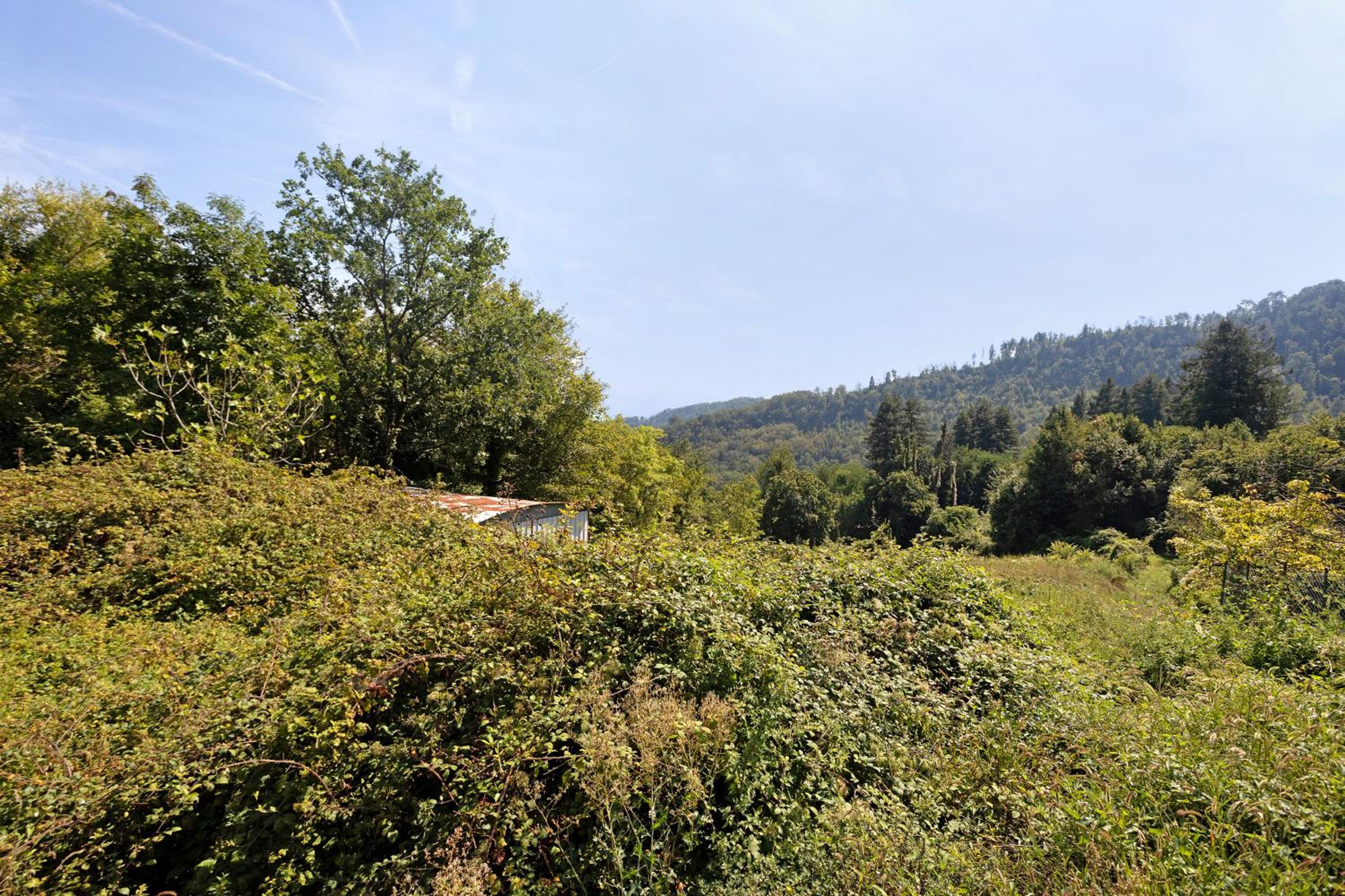 La Casina di Nella view 2