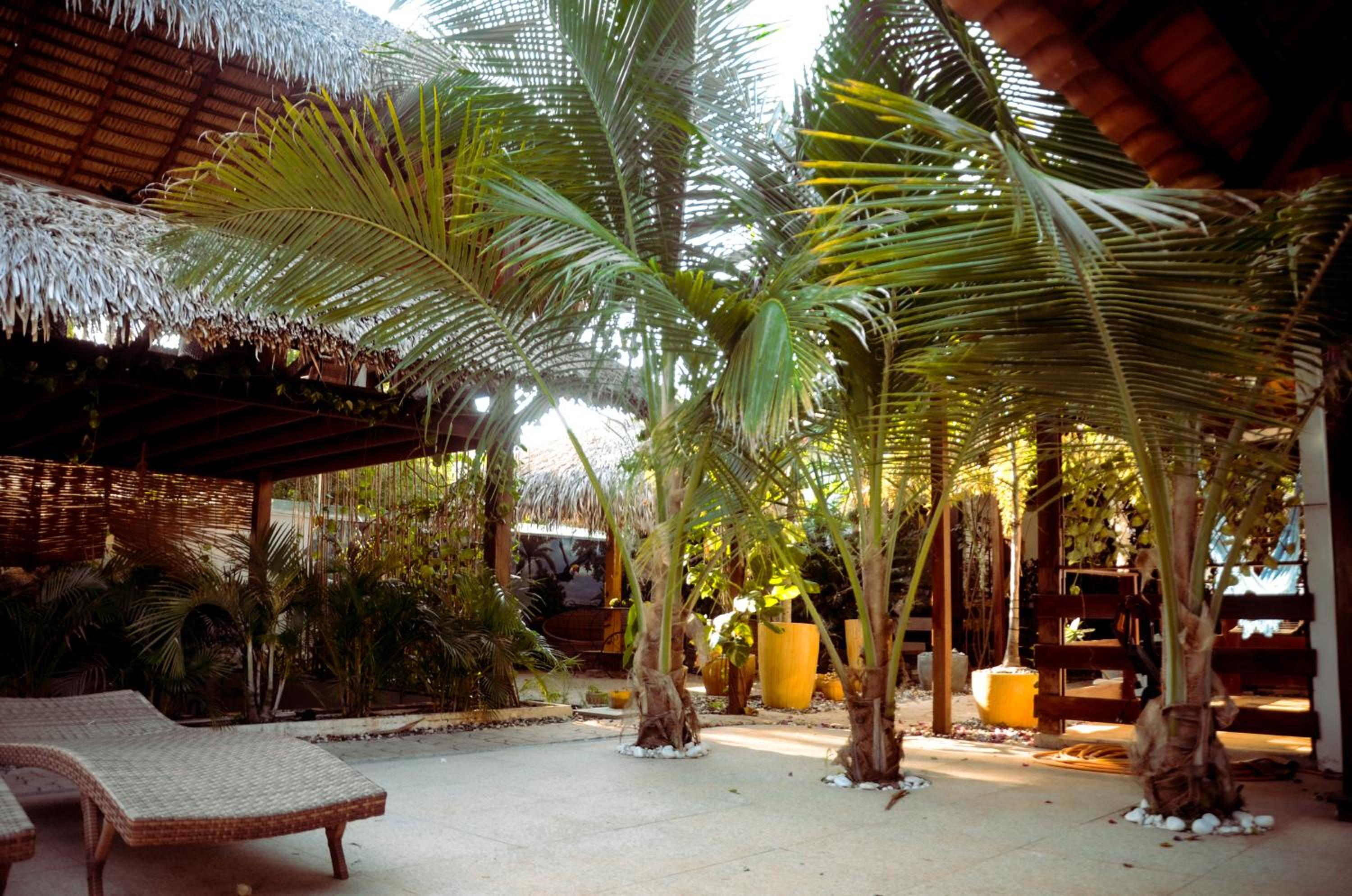 Villa Éden