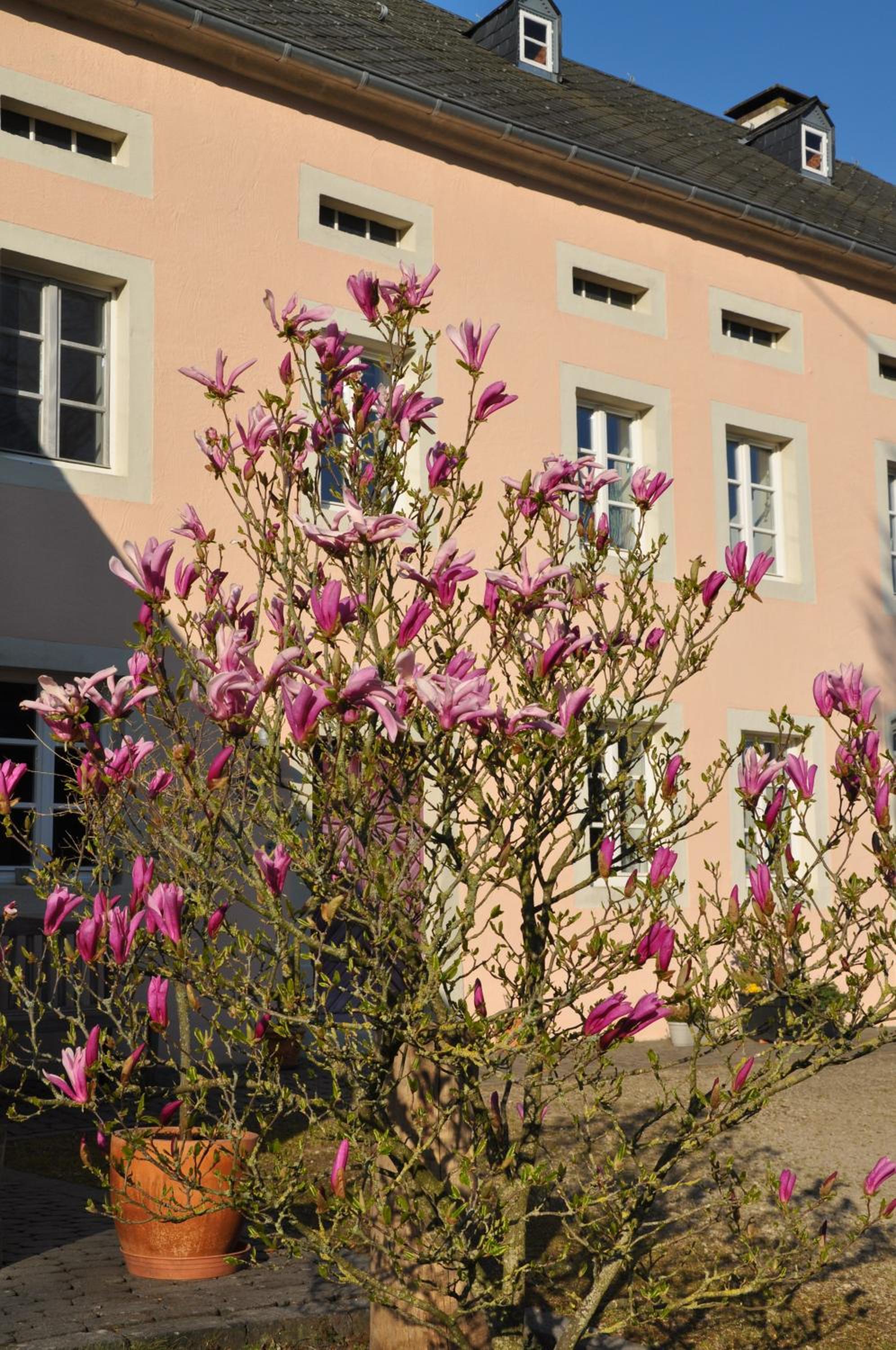 Alte Schmiede in denkmalgeschützter Hofanlage
