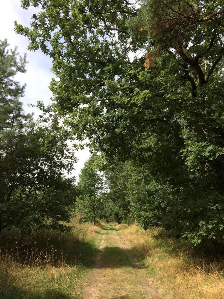 Alte Schmiede in denkmalgeschützter Hofanlage