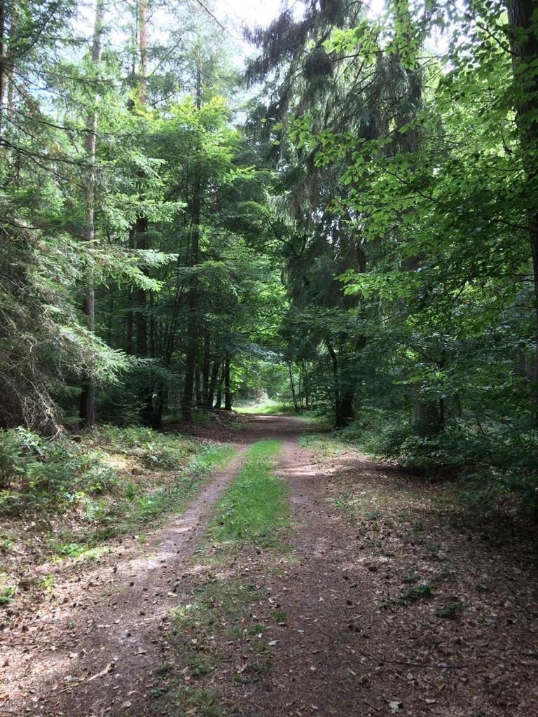 Alte Schmiede in denkmalgeschützter Hofanlage