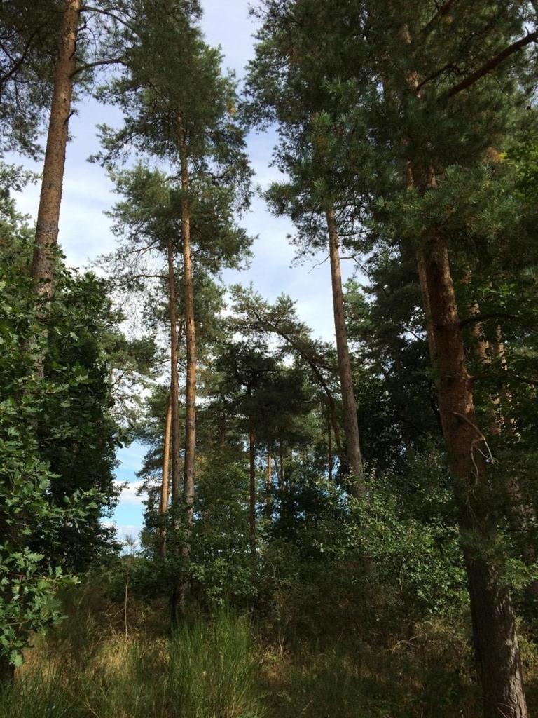 Alte Schmiede in denkmalgeschützter Hofanlage
