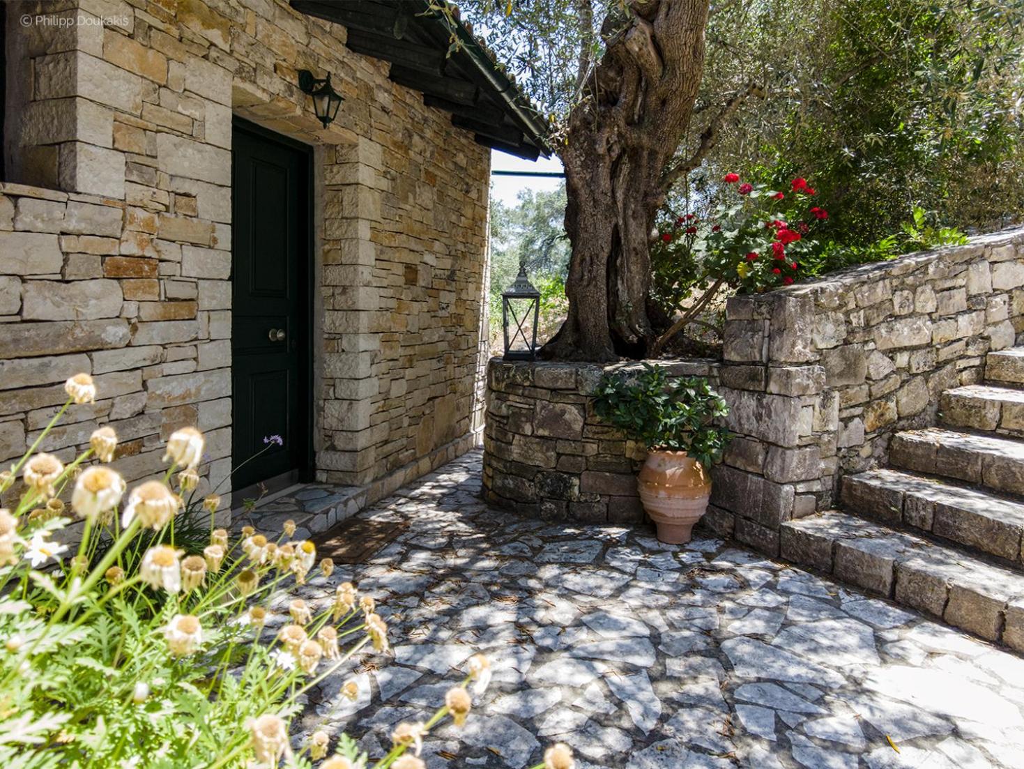 Adamantia Studio S1 photo 3