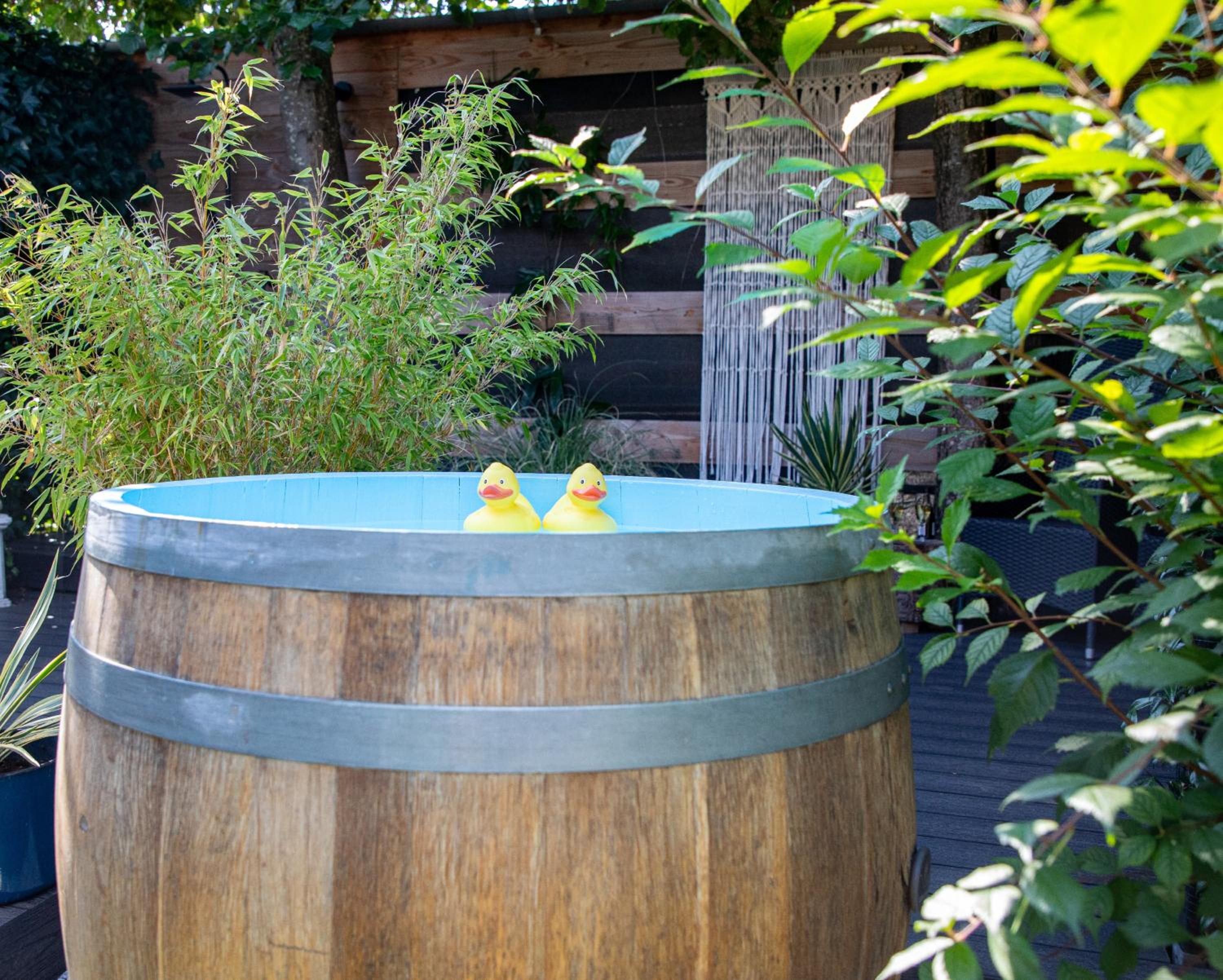B&B Joli met privé wellness view 4