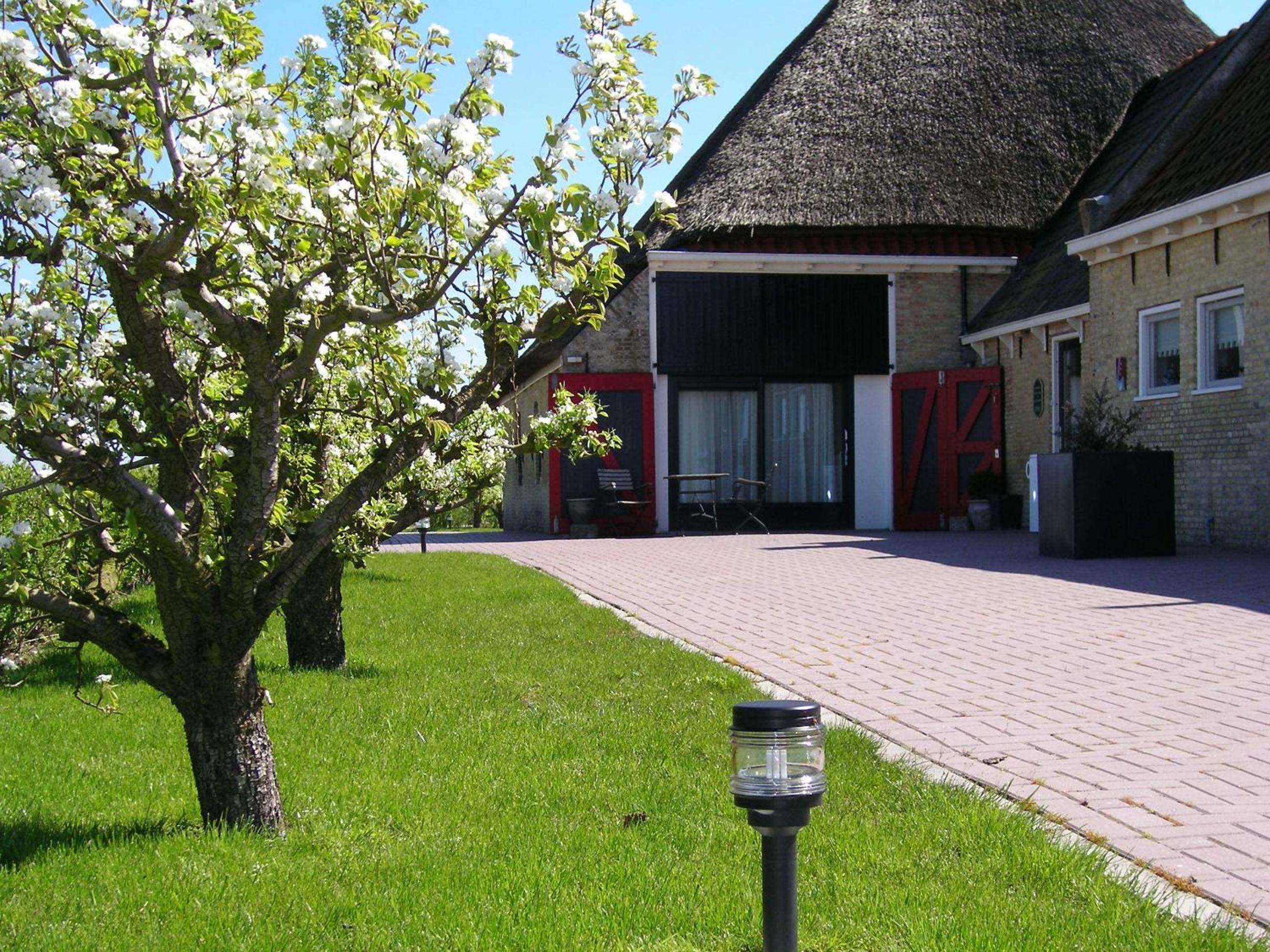 Photo 11
