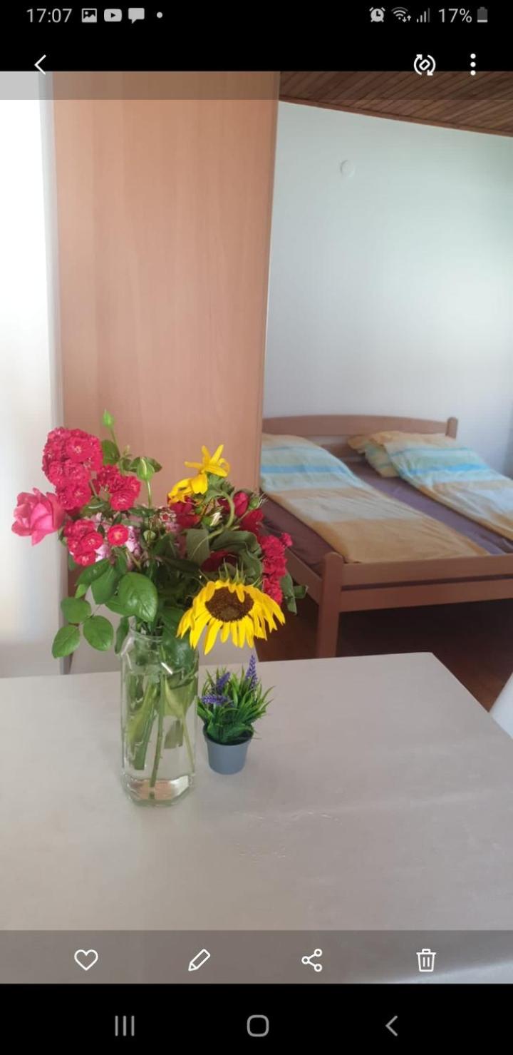 Bosna-Saray 1