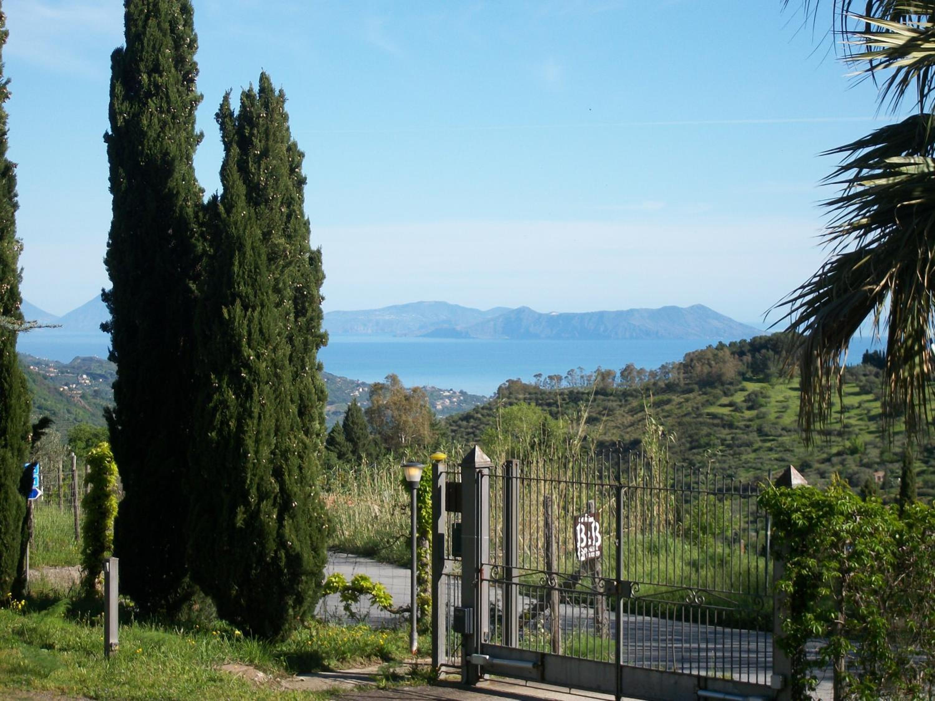 Photo 40