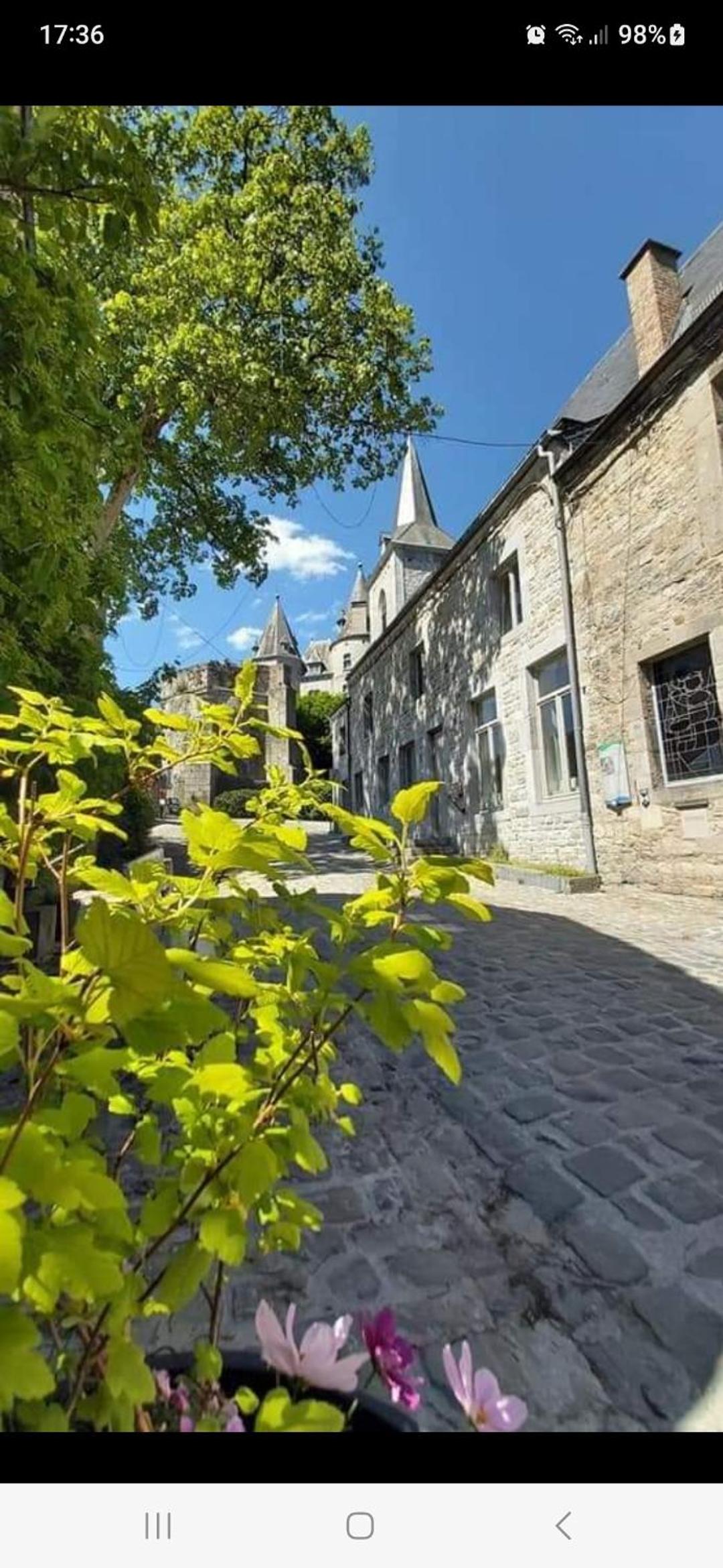 LA VILLA DE SENY , villa de charme avec jardin ,Piscine nature, jacuzzi , petanque, fitness, billard,ping pong,