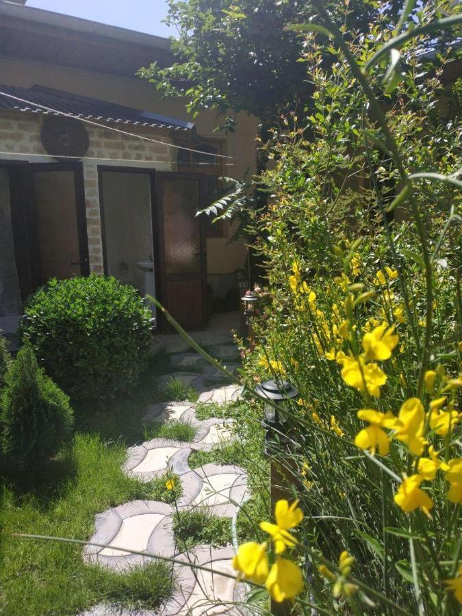 Photo 24