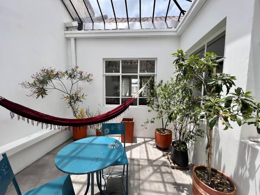 Beautiful renovated apartment in historic house