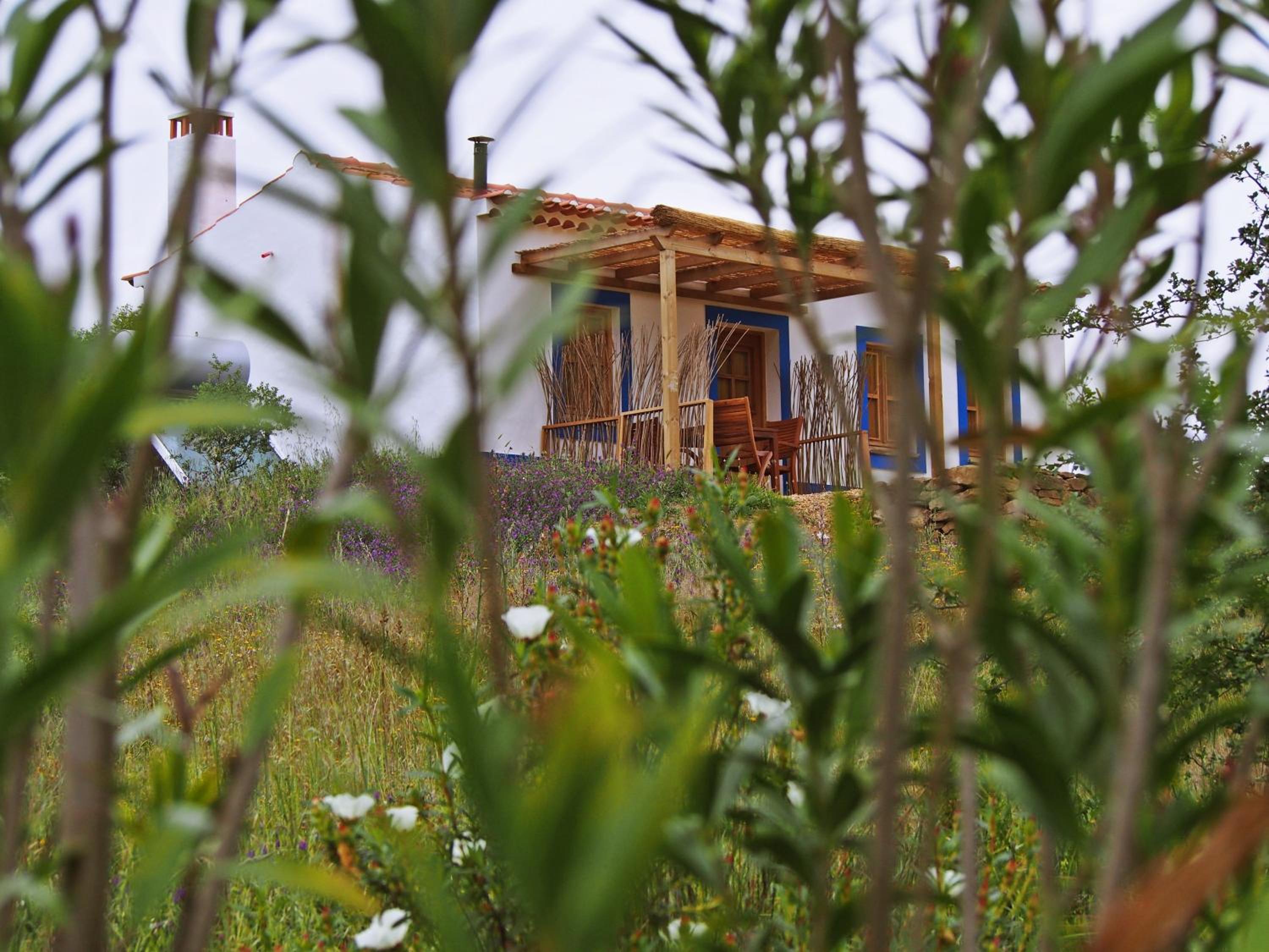 Casas de Campo do Castro da Cola view 3