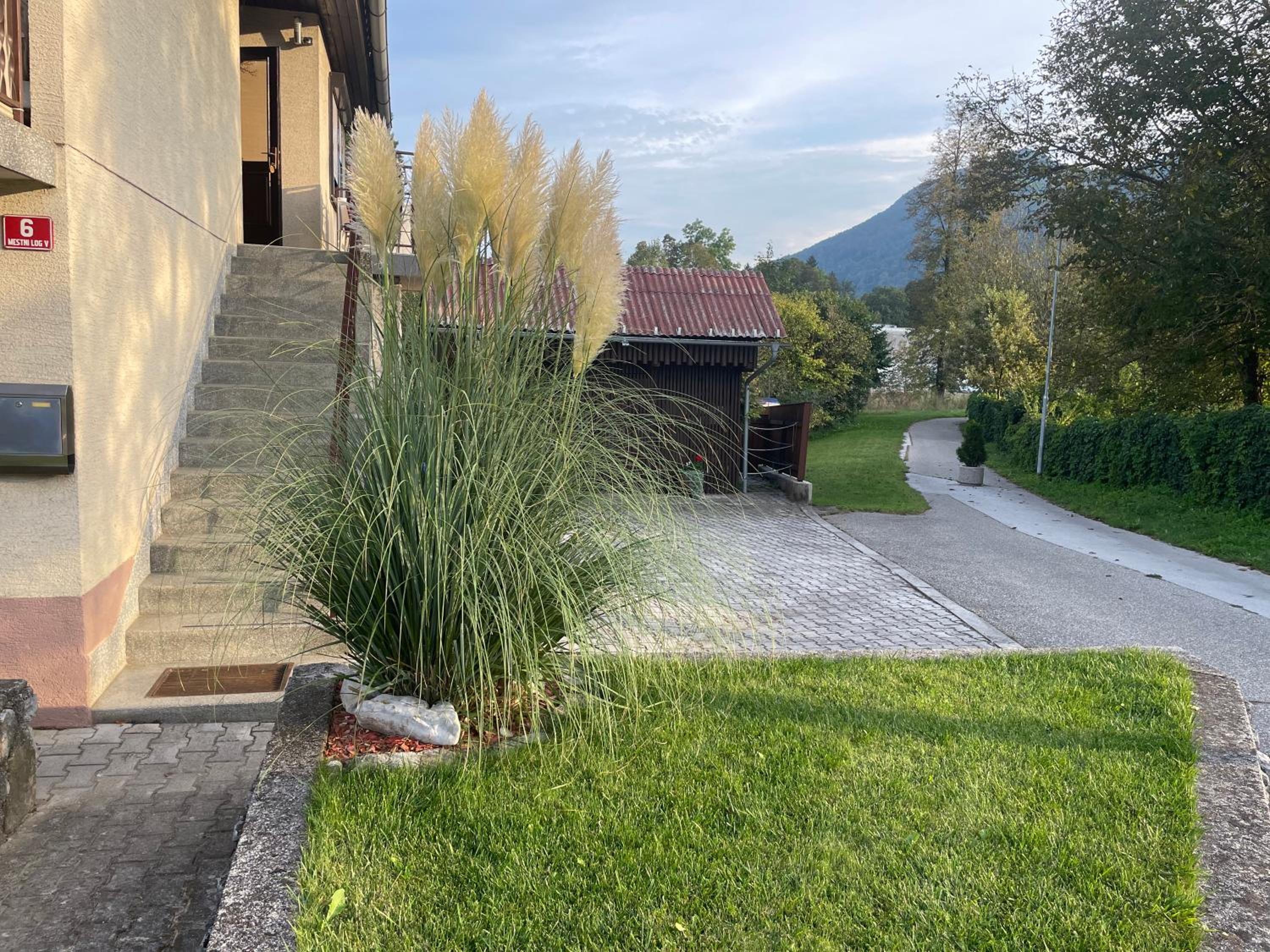Apartma Šohen view 3