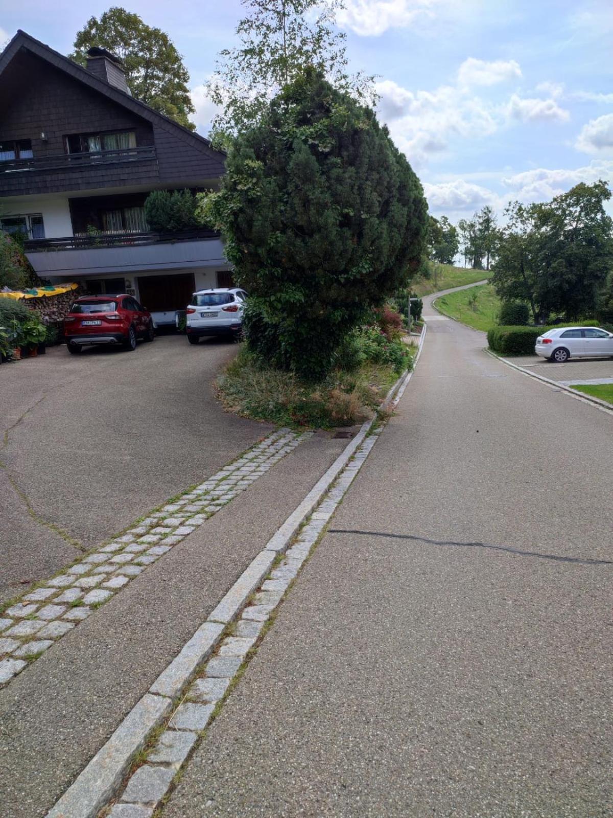 Feldbergsicht