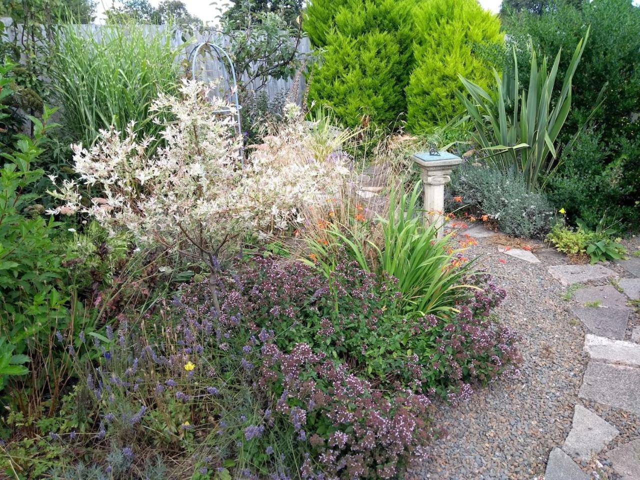 Photo 21