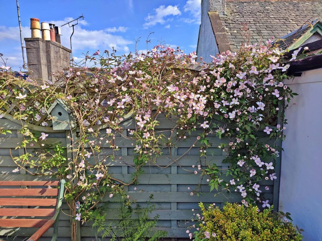 Photo 26