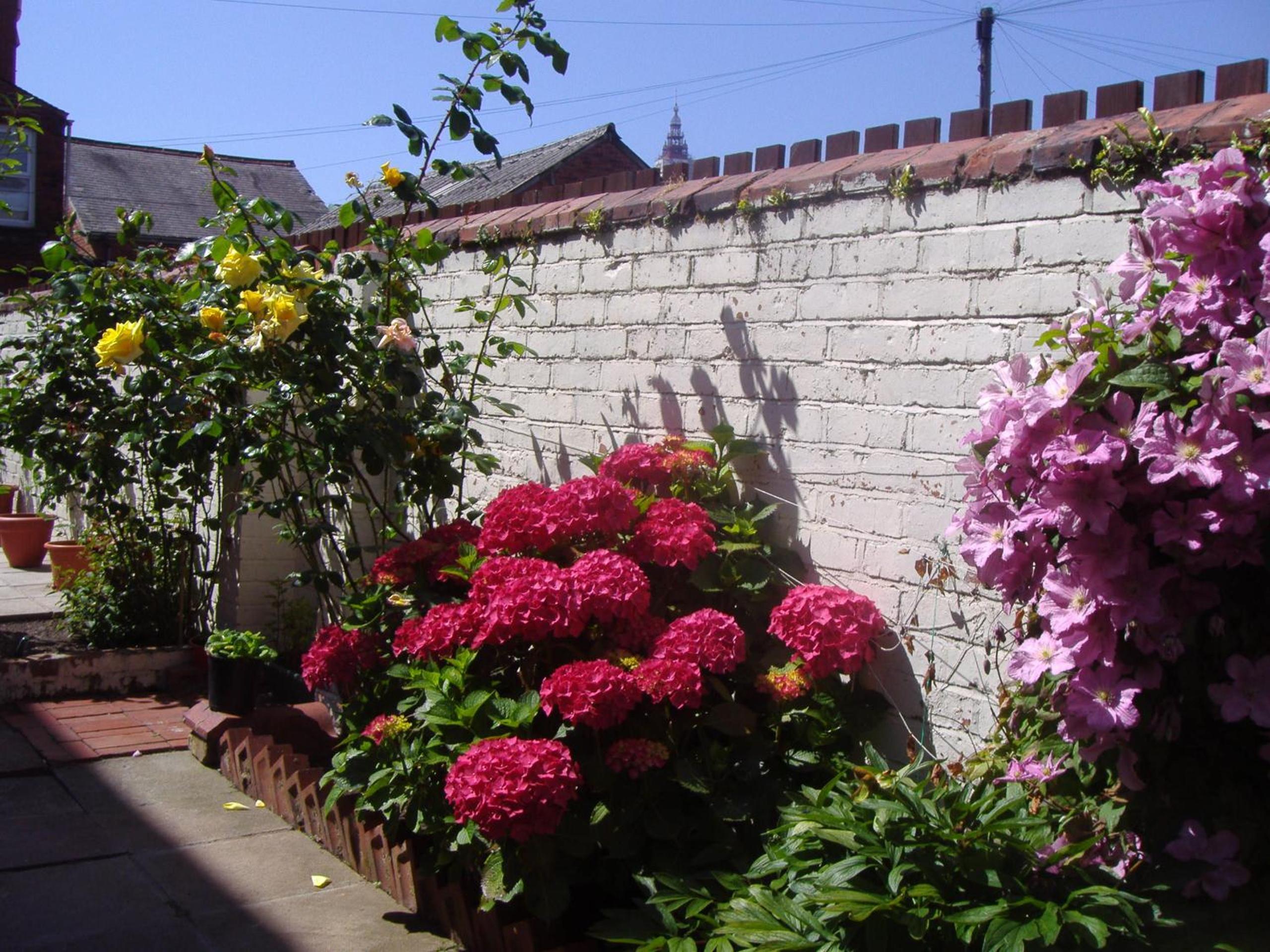 Photo 15