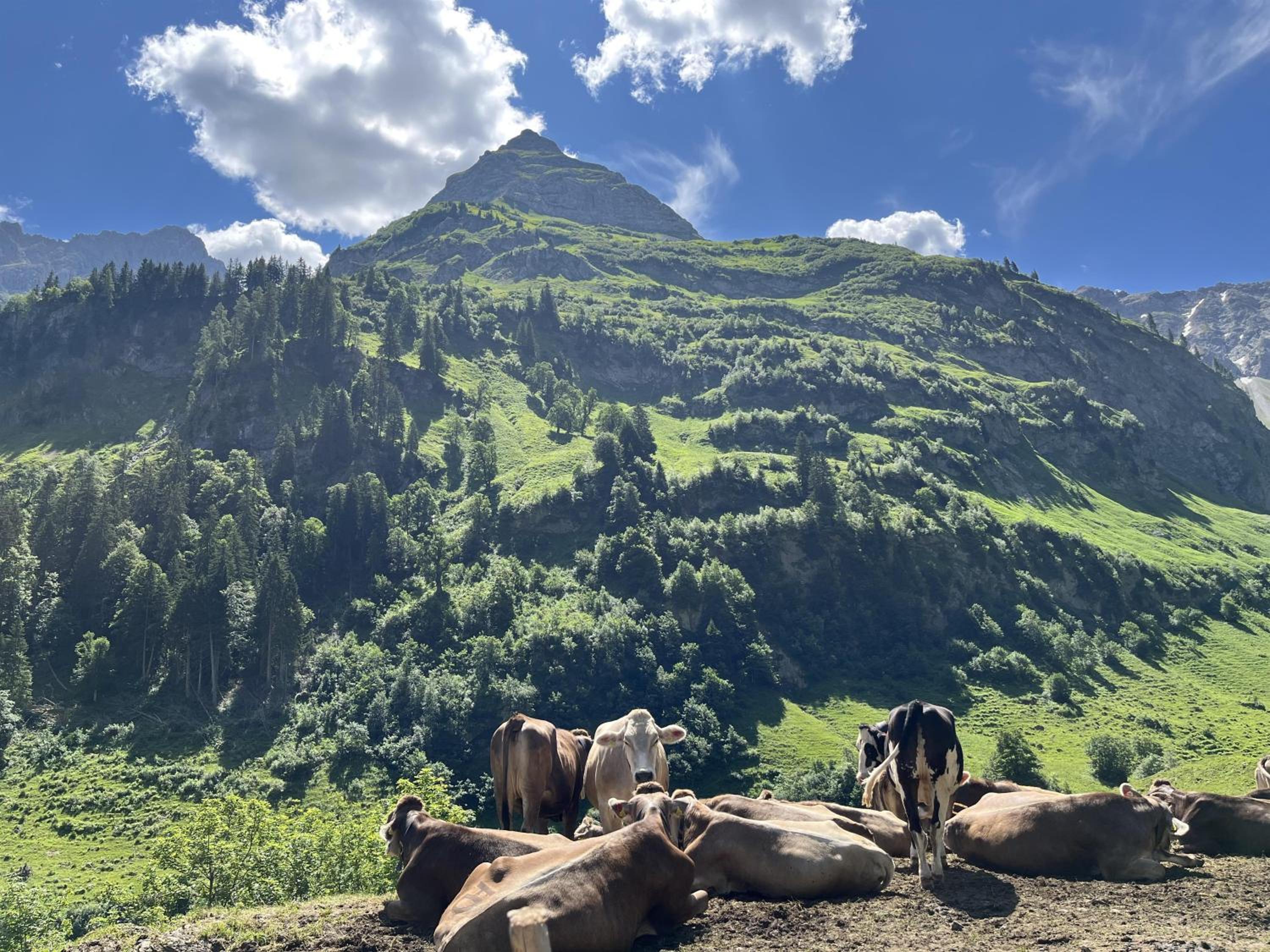 Photo 82