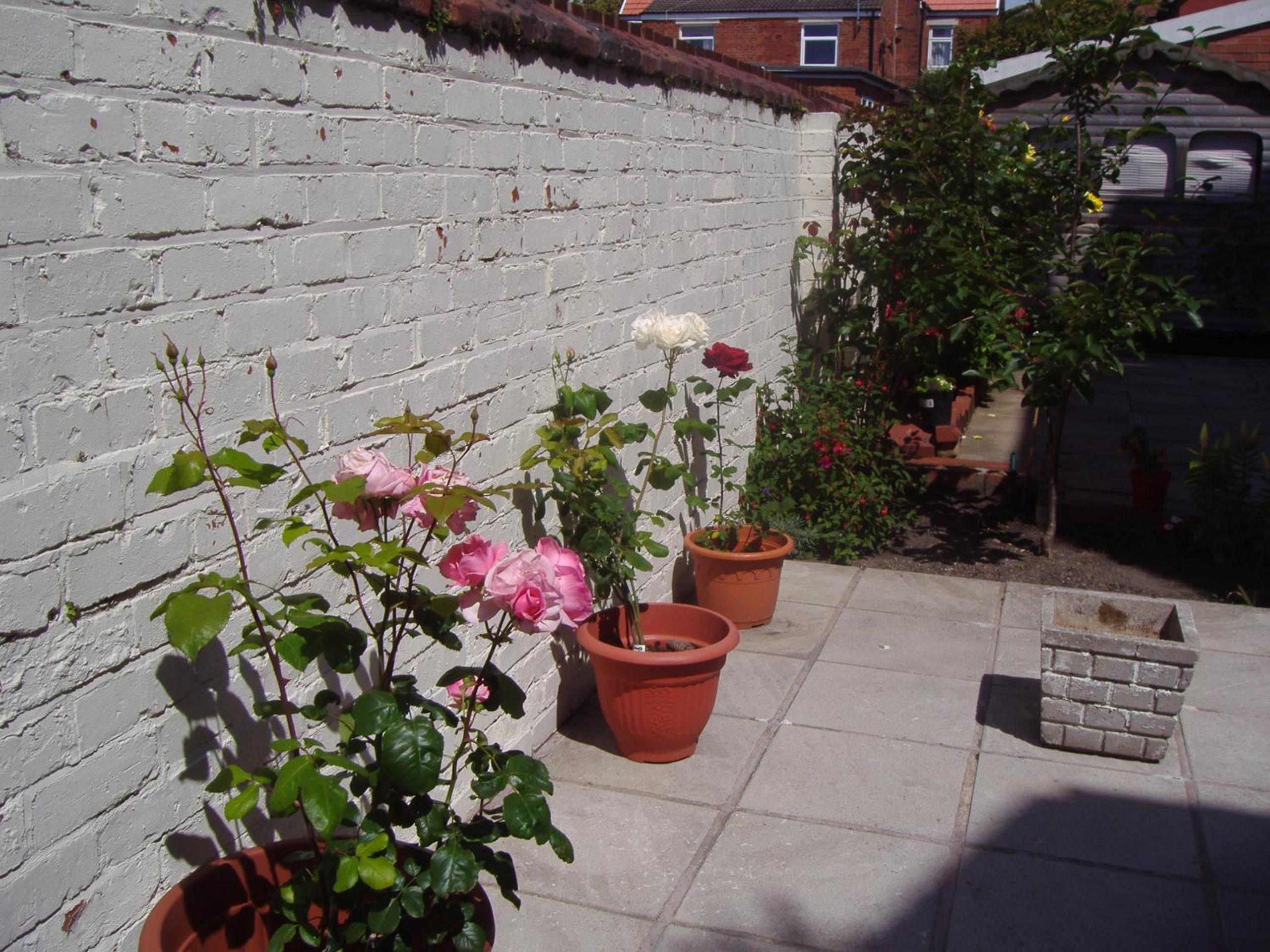 Photo 16