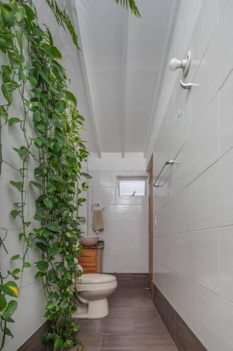 Rooftop apartment