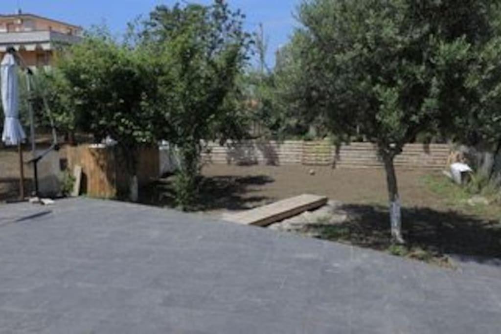 Photo 23
