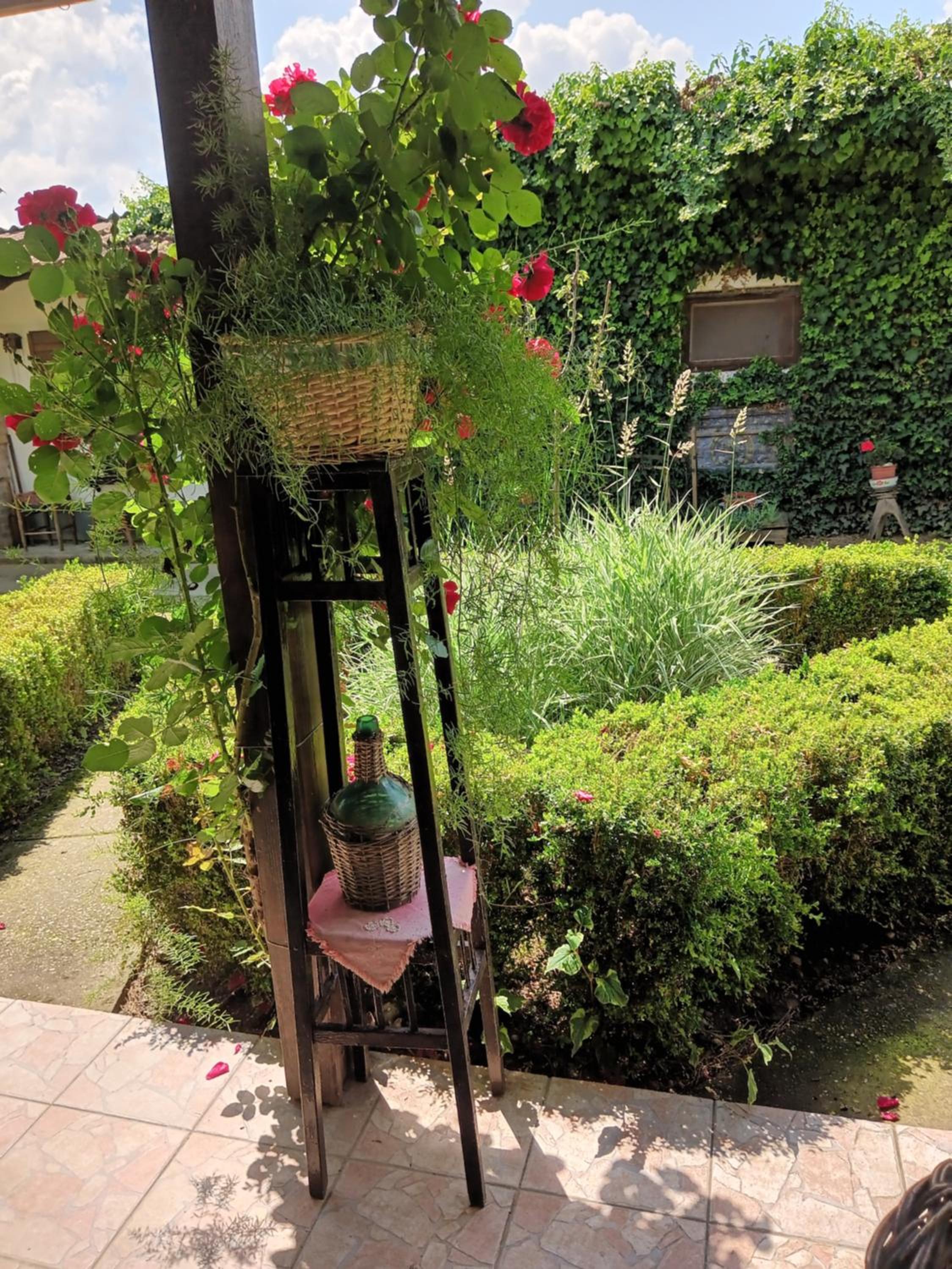 Photo 41