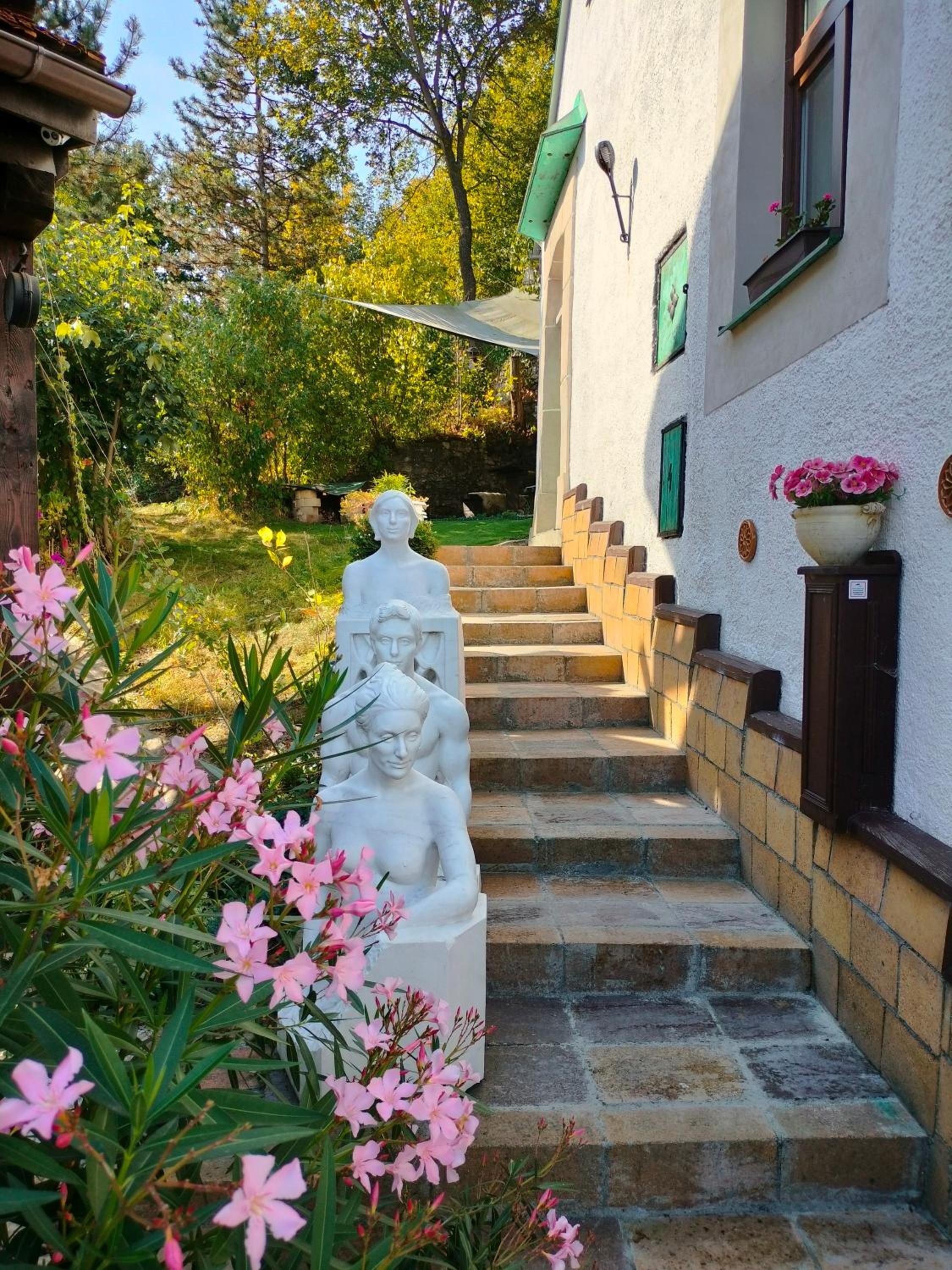 Paracelsus house