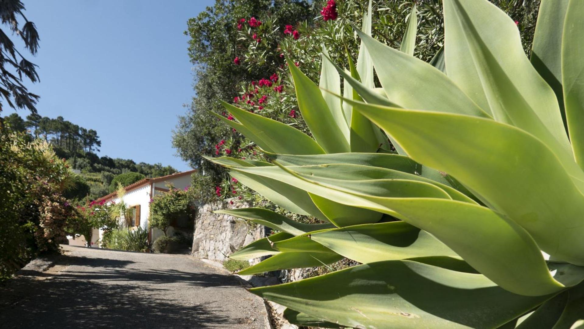 636 Vivenda Bouganvilla view 2