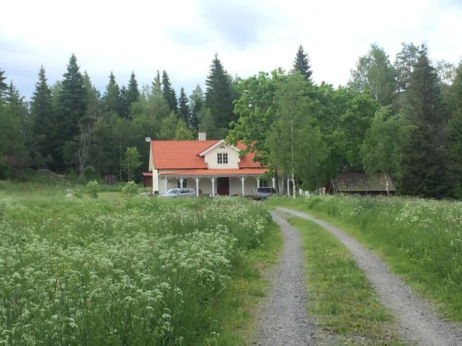 Photo 23