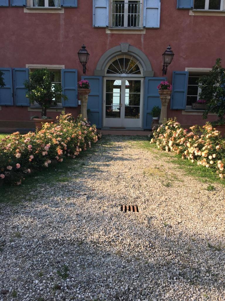 Tenuta Cantaia view 2