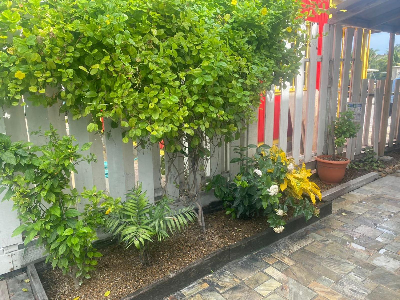 Casa Coccoloba