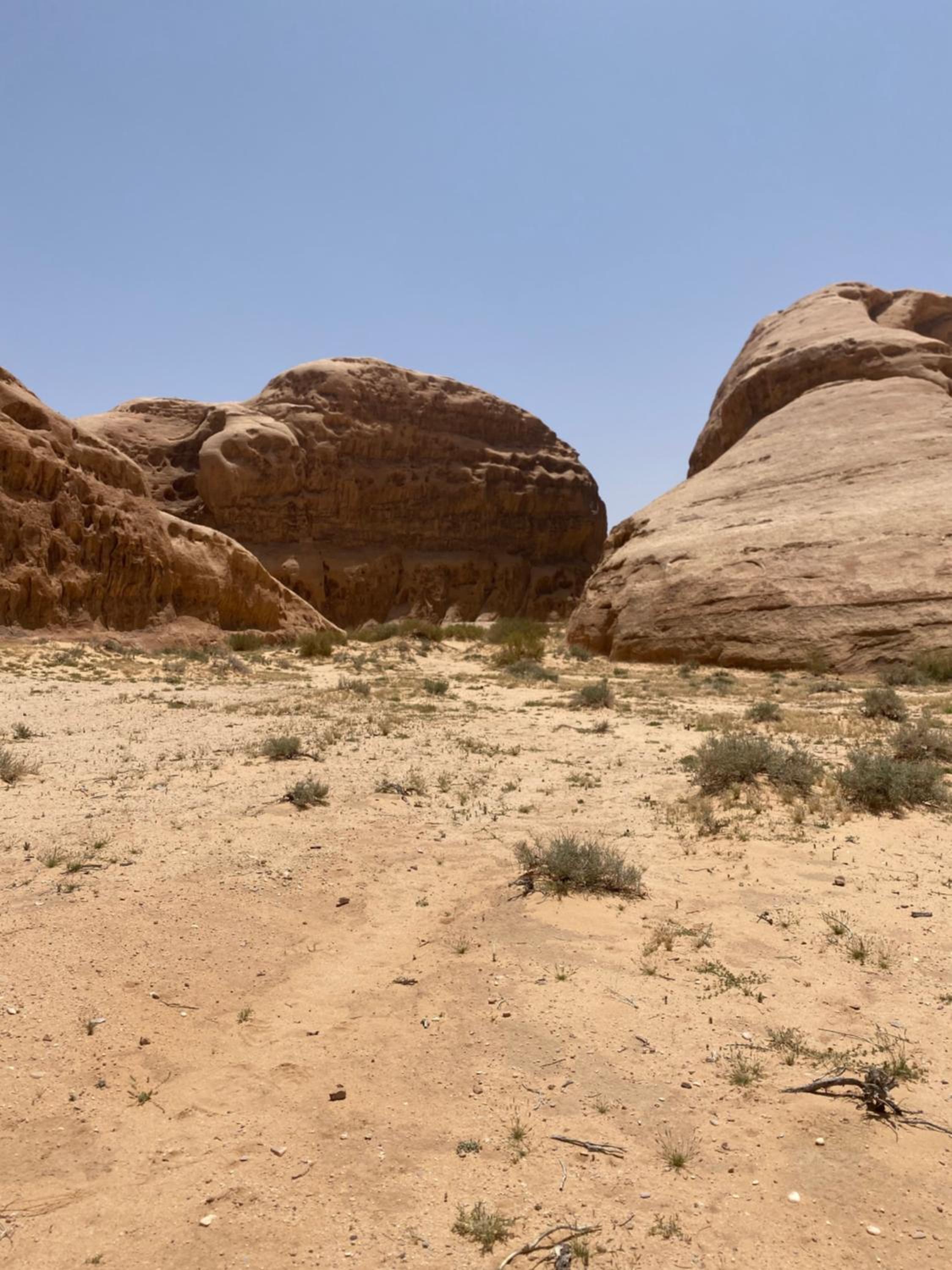 Ali Rum camp view 3