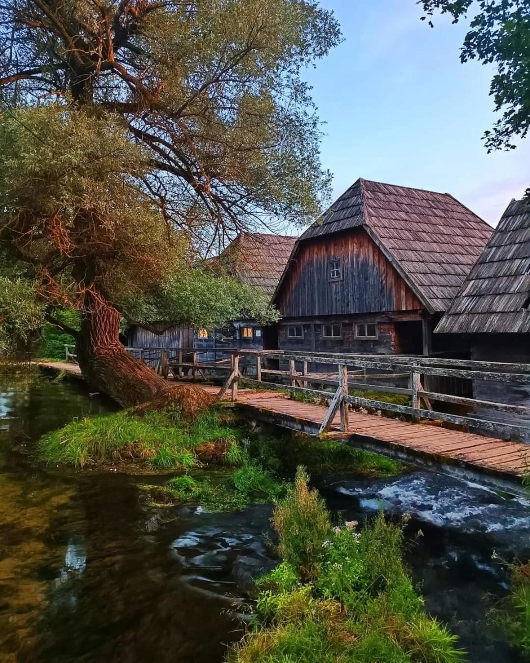 Apartman Swans
