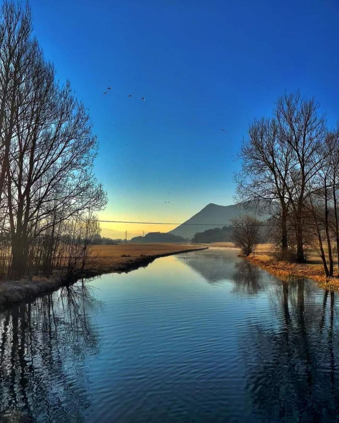 Apartman Swans