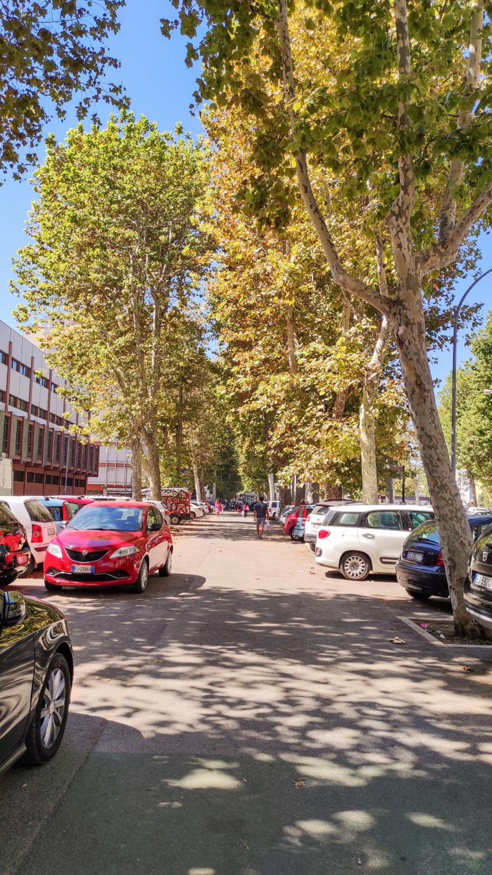 parking