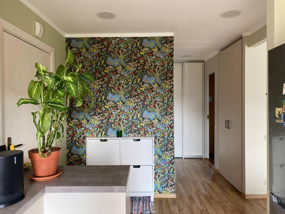 Apartments in Valmiera view 5