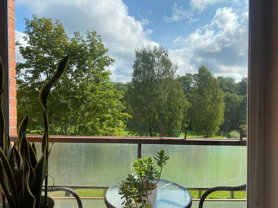 Apartments in Valmiera view 2