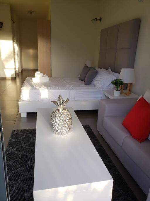 Convenient Studio Apt Near Airport, Beaches & Food view 5