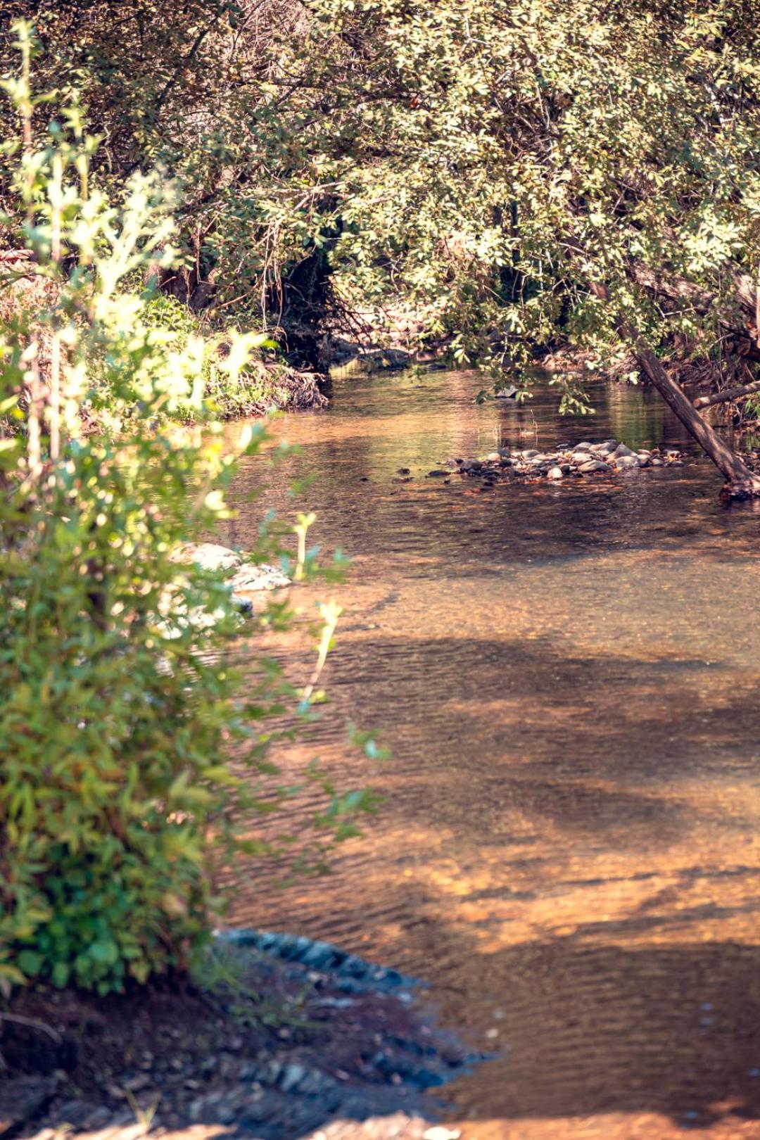 Moinho de Palma de NaturAlegre view 5