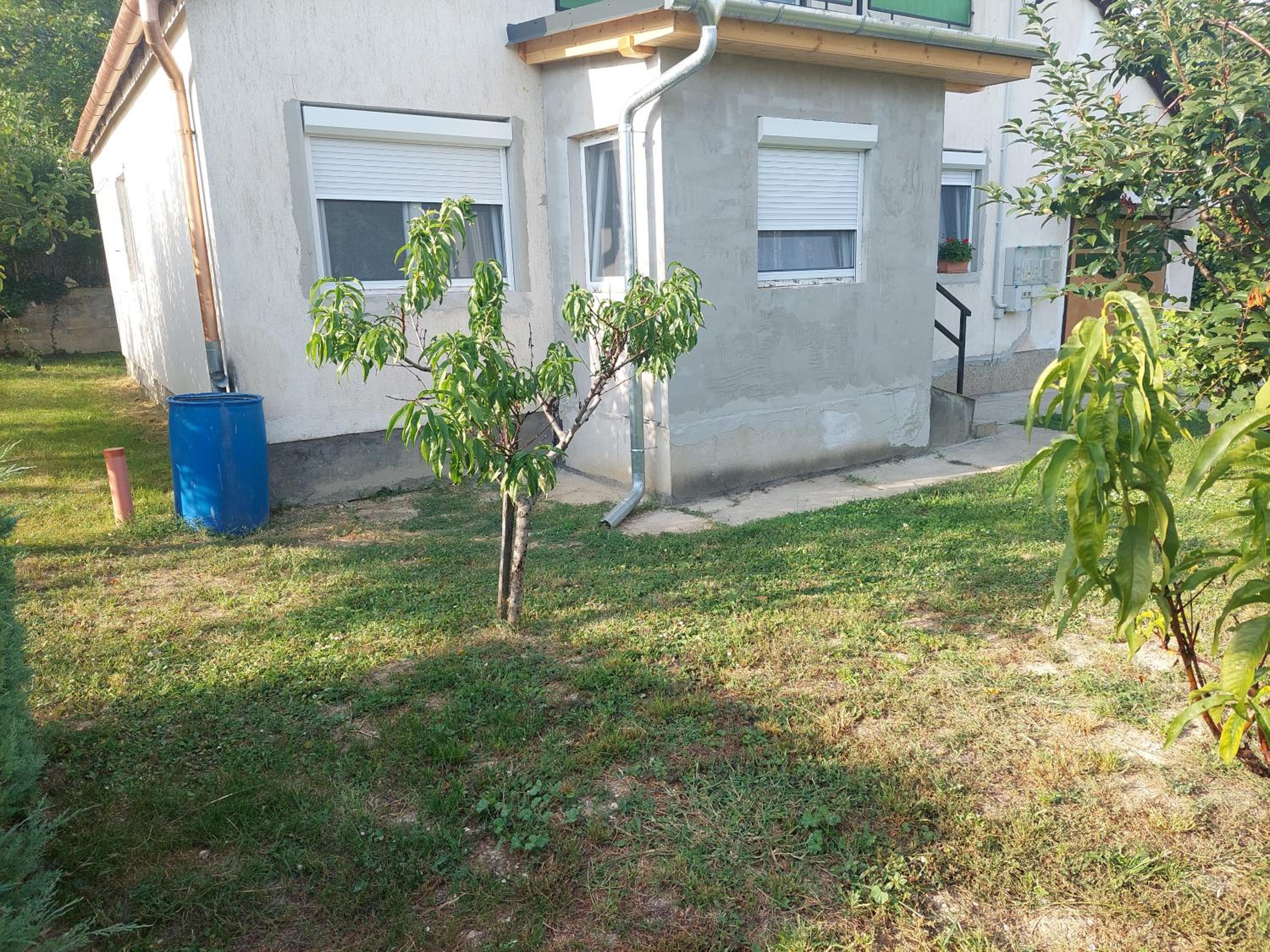 Jani vendégház Ground floor & Apartman view 3