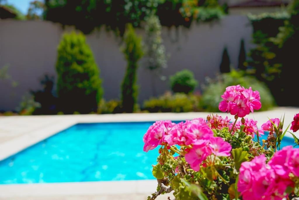Sleek & Cozy Apartment with Pool & Patio In Abdoun view 5