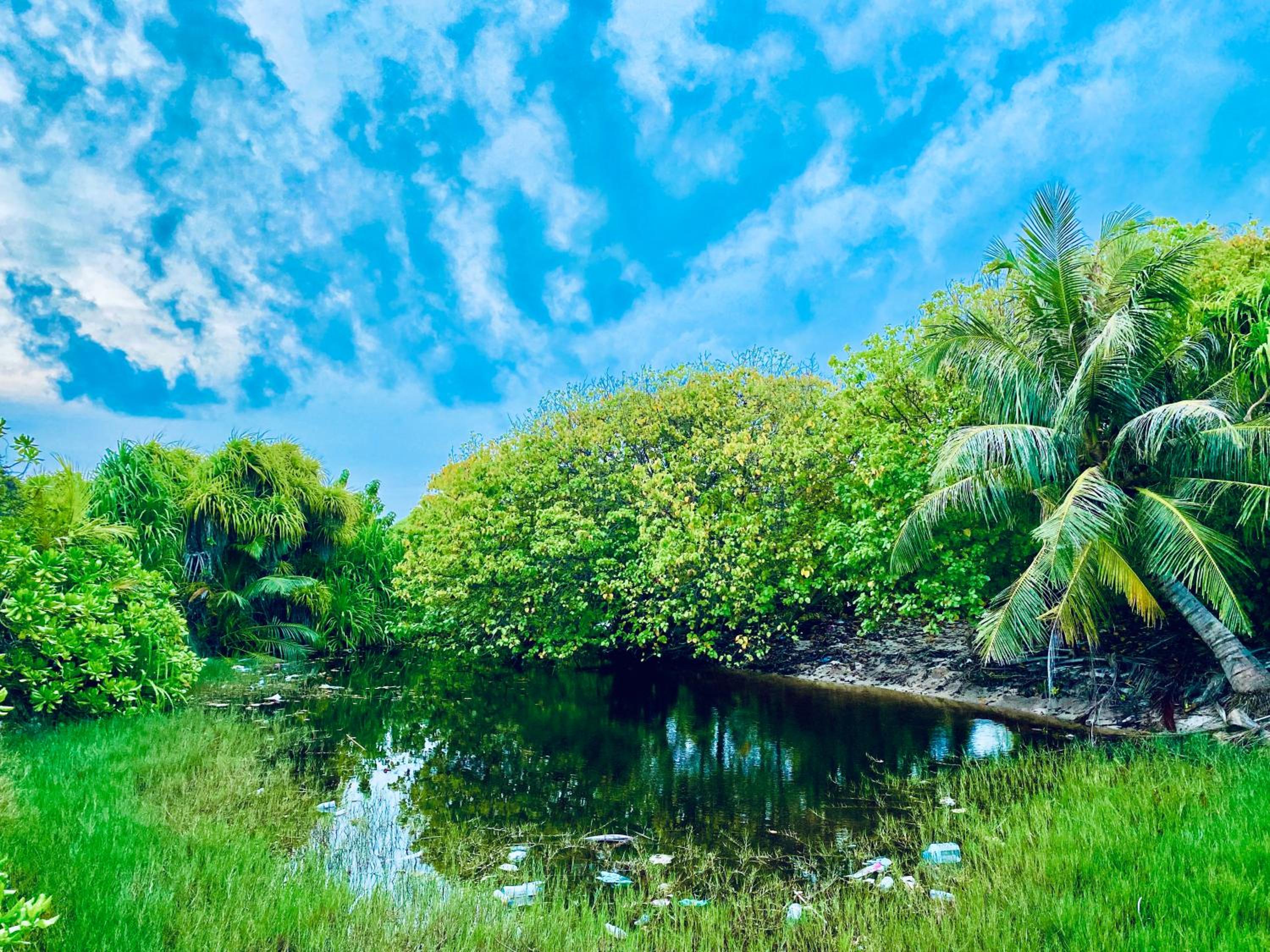 Oasis Village Fenfushi, Maldives